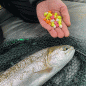 Preview: fjuka lurebait forelle